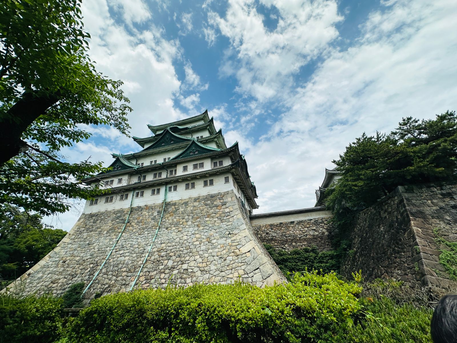 仰角拍攝的名古屋城天守閣，綠色屋瓦層層疊起，下方是巨大的石垣基座，前景有樹葉入鏡