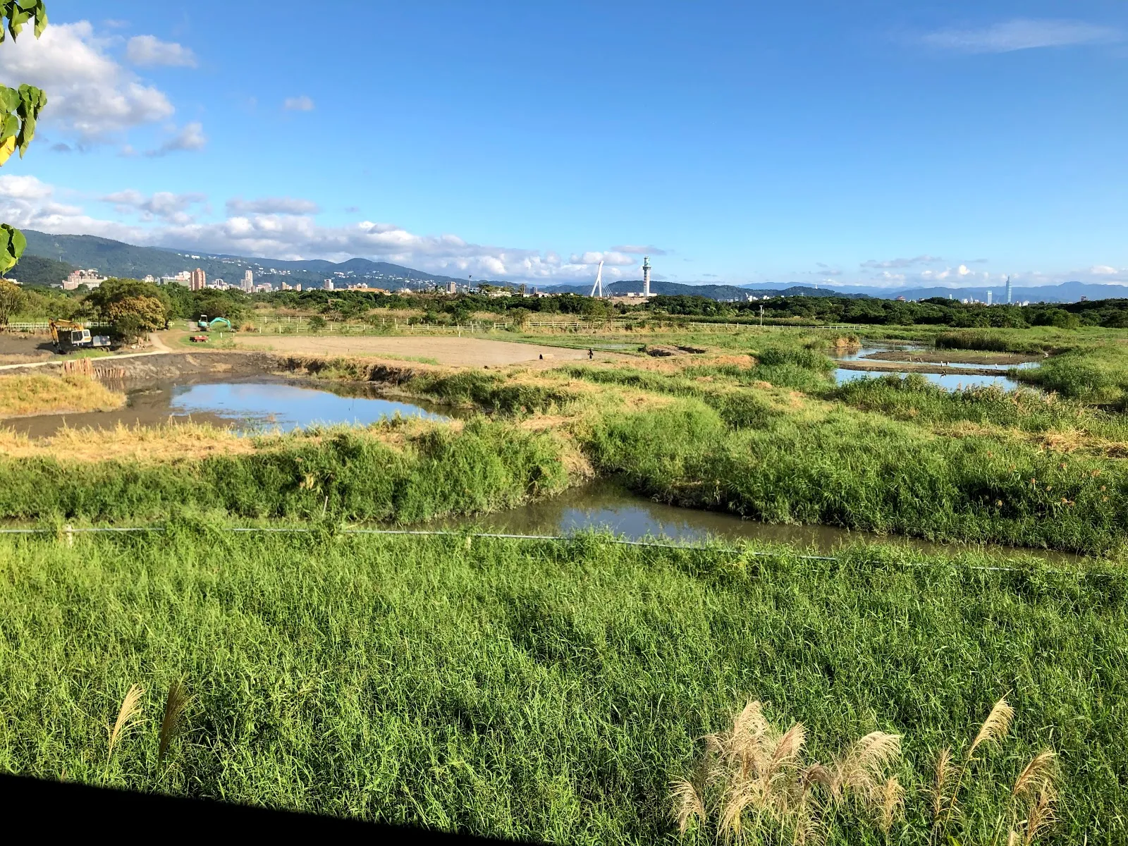 濕地全景，綠色草澤之間散布著水塘，遠方是市區大樓與藍天白雲