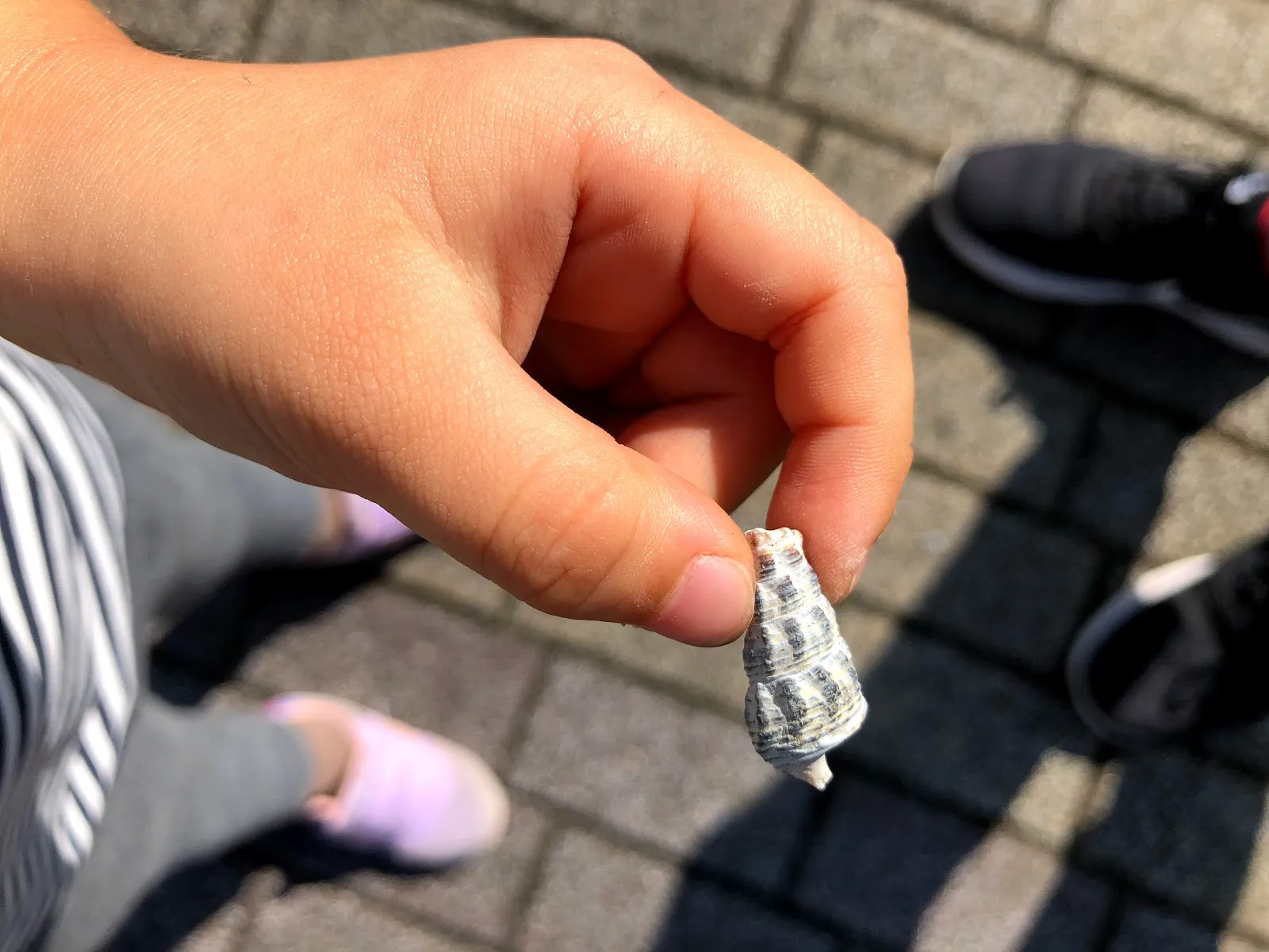 小孩的手指捏著一枚灰白色的螺旋狀貝殼，背景是地磚與鞋子