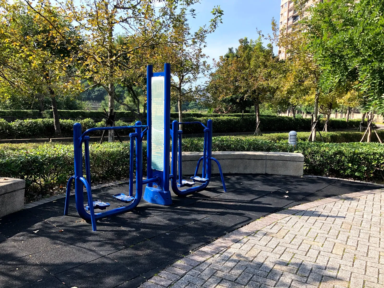 公園裡的藍色運動器材組，架在深色鋪面上，四周是綠籬與樹木