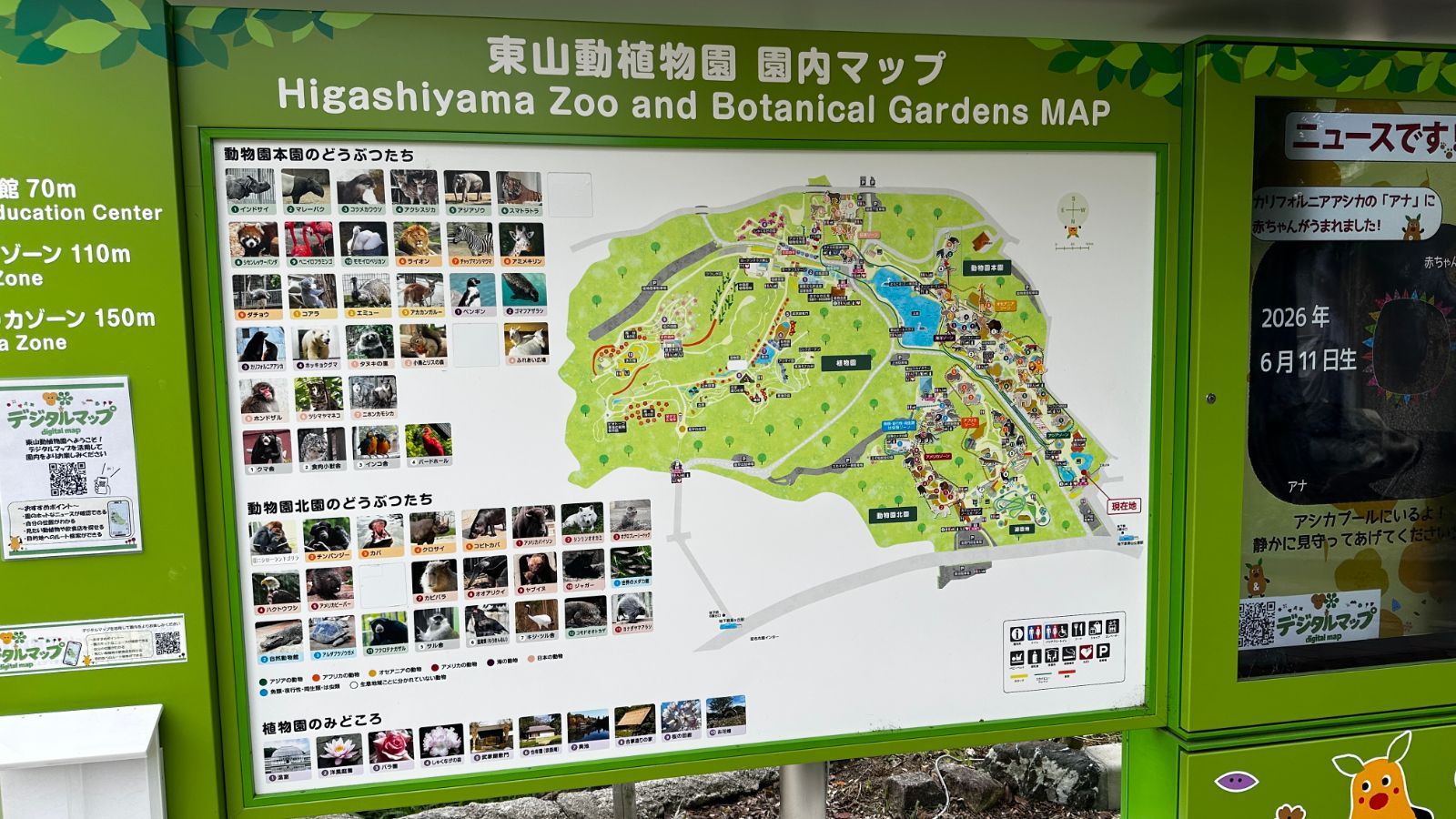 園內的大型看板地圖，標題寫著「東山動植物園 園內マップ」，左側貼滿園內動物的照片索引