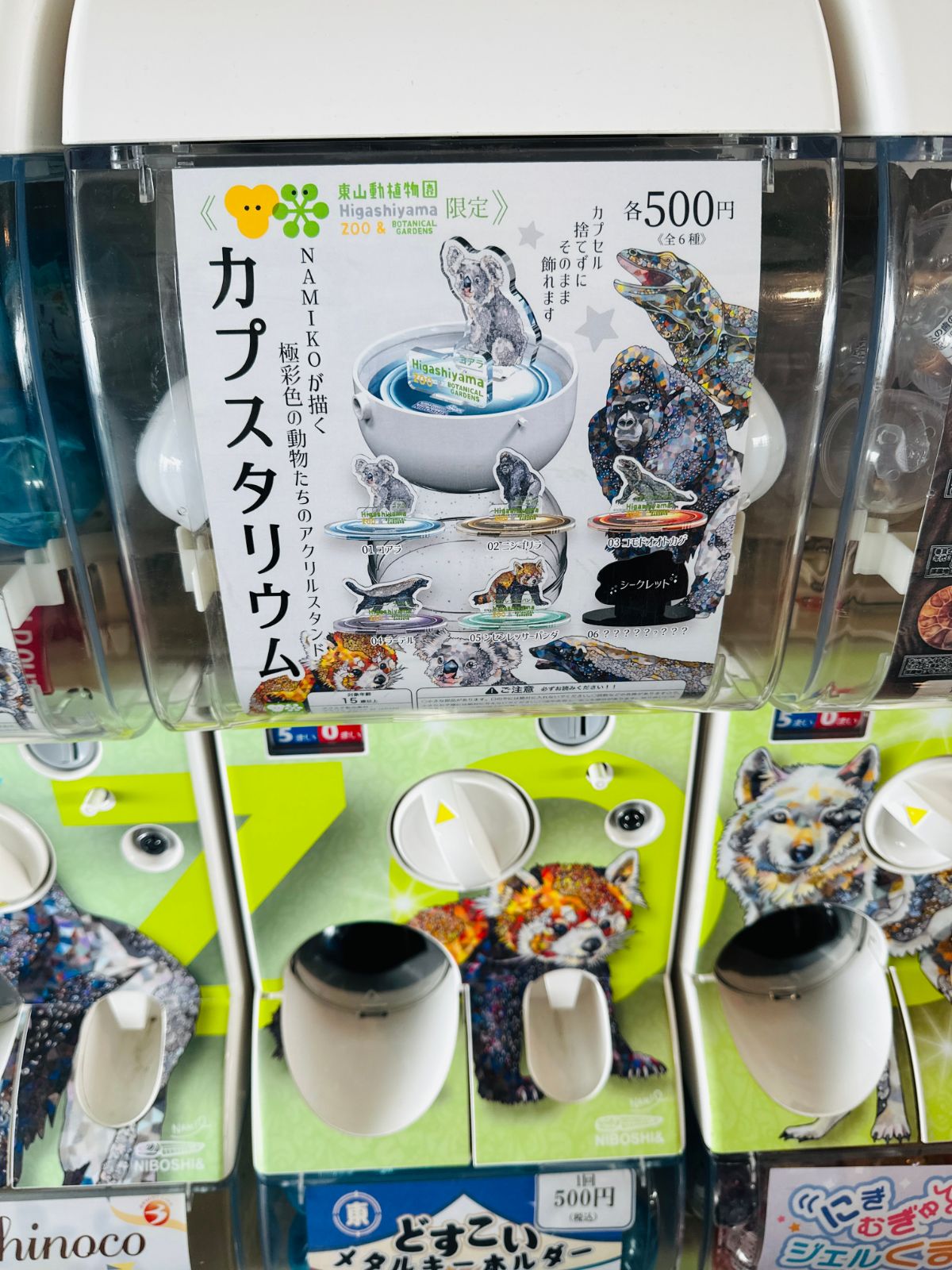 轉蛋機上方的宣傳圖，是東山動植物園限定的壓克力立牌系列，每個五百日圓，下排機台印著狐狸與狼的彩繪圖案