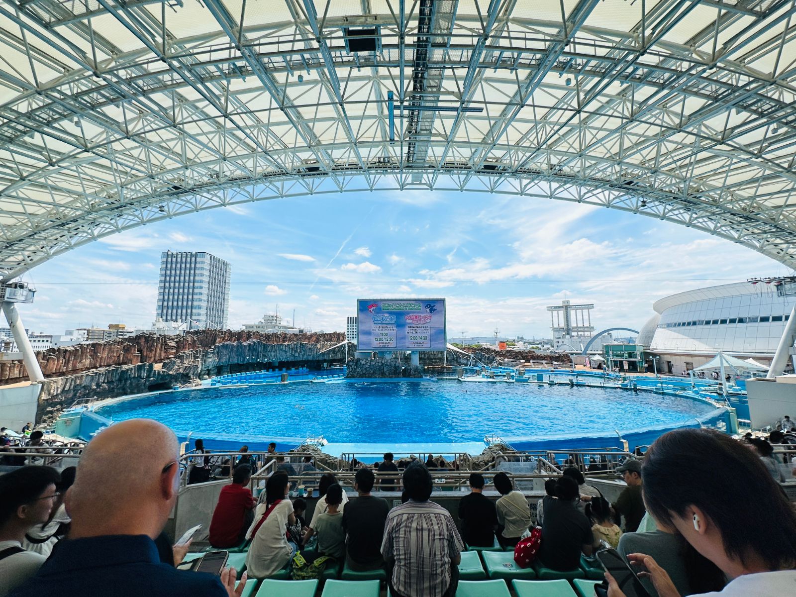 戶外的海豚表演池,白色鋼構屋頂下是弧形看台,觀眾坐滿前排,池畔立著大型螢幕
