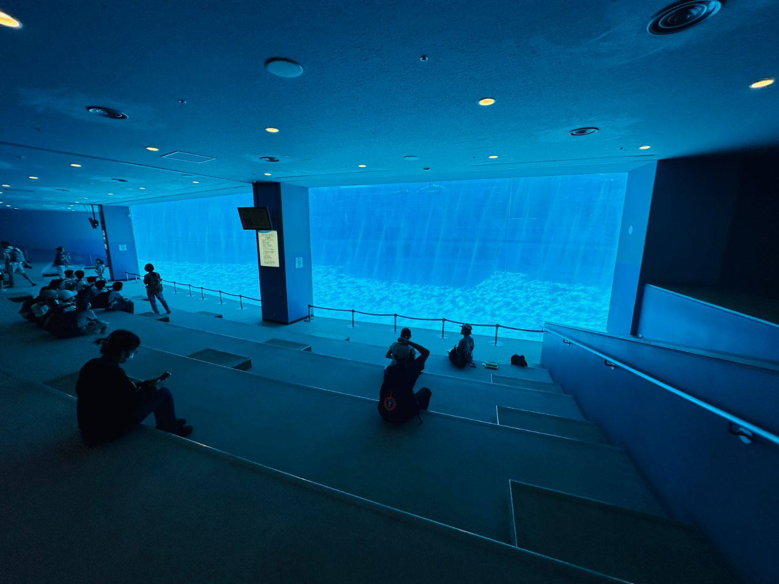 水族館的大型觀景廳,觀眾坐在階梯式看台上,面對一整面藍色的巨大水槽