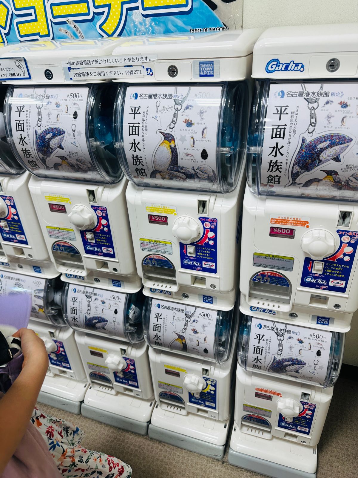 一整面牆的扭蛋機,每台都是名古屋港水族館限定的「平面水族館」吊飾,一次五百日圓